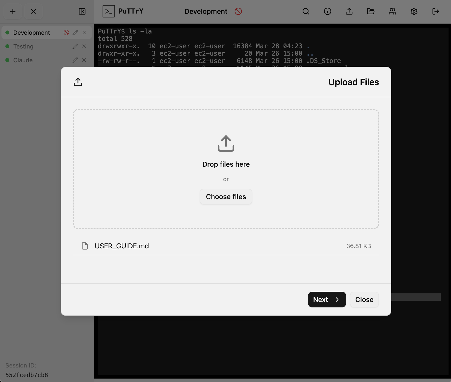 PuTTrY File Manager - Upload Interface